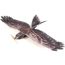 Aeromodellingtutor RC Bird 3 Channel