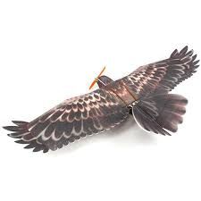 Aeromodellingtutor RC Bird 3 Channel