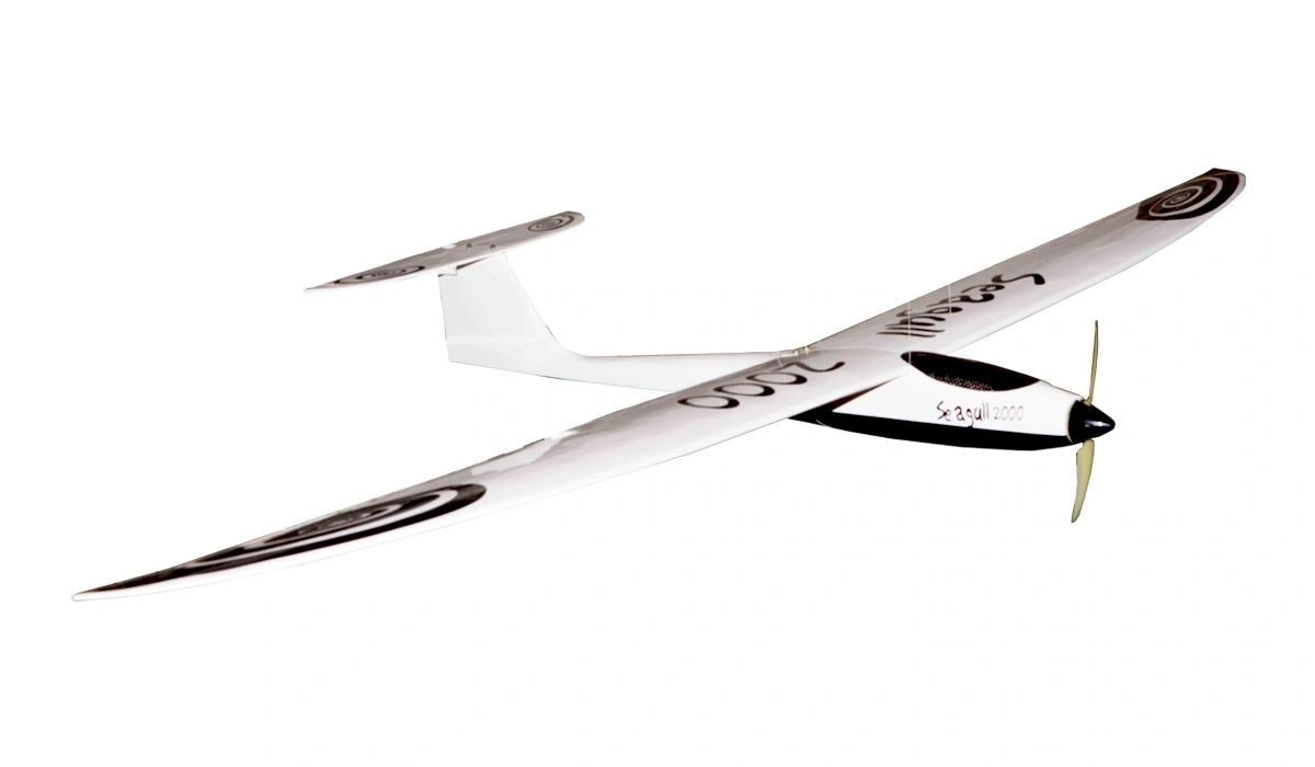 Seagull 2000 Glider