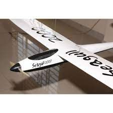Seagull 2000 Glider
