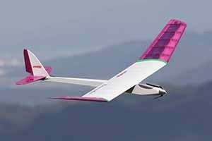 Soaring Flamingo Balsa Glider